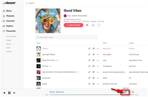 How to See and Download Lyrics on Deezer .